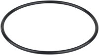 Fuel Pump Tank Seal