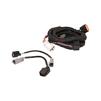 Transmission Controller Harness 1998-Up Ford AODE/4R70W