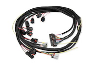 6-Hemi Wiring Harness 2003-05 Hemi