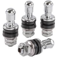 Bolt-In Valve Stems Chrome