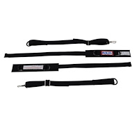 11001710 Junior Dragster Arm Restraints [SFI 3.3, Hot Pink]