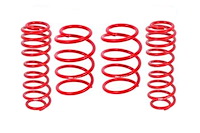 Lowering Spring Kit 2005-14 Mustang GT