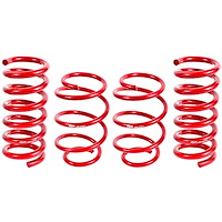 Performance Lowering Spring Kit 2015-16 Mustang GT