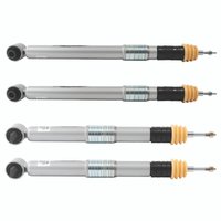 SHOCK ABSORBER SET TRAIL