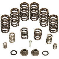 1040185 Governor Spring Kits 1994-1998 Dodge for Cummins Diesel