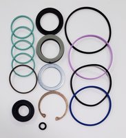 Seal Kit for Delphi 670 Series Power Steering Boxes