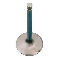 Intake Valve Fits Big Block