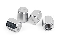 MS100178 Valve Stem Caps [Silver]
