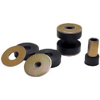 IRS Rear Differential Bushing Kit 1999-2004 Mustang SVT Cobra