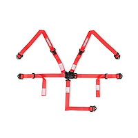 Junior Racing Harness SFI 16.1 Certified