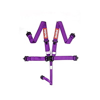 Racing Harness SFI 16.1 Certified