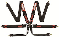 RaceQuip FIA Certified 6-Point Camlock Safety Harness