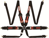 RaceQuip FIA Certified 6-Point Camlock Safety Harness