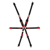 RaceQuip FIA Certified 6-Point Camlock Safety Harness