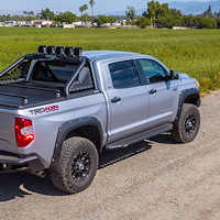RB20 Running boards