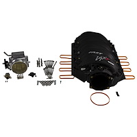 THROTTLE BODY / MANIFOLD