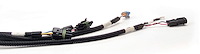 XFI Main Wiring Harness GM TPI