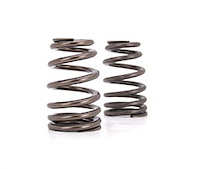 Beehive Valve Spring Universal