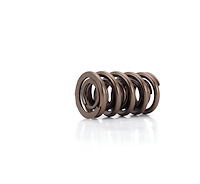 Dual Valve Springs Outer Spring O.D.: 1.560 in.