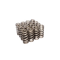 Beehive Valve Spring Ford 4.6L/5.4L 2V & 3V