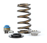 VALVE SPRING KIT FORD COY Ti RETAINERS