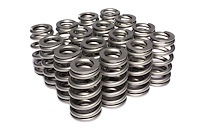 Beehive Valve Spring Chevy LS1/LS2/LS6