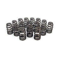 Beehive Valve Spring Universal