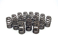 Beehive Valve Spring Universal