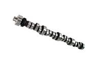 Specialty Hydraulic Flat Tappet Camshaft