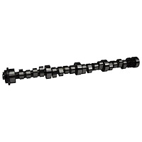 CAMSHAFT OLDS HYD ROLLER