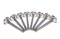 Sportsman Stainless Steel Valve Small Block Chevy