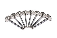 Sportsman Stainless Steel Valve Big Block Chevy