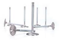 Sportsman Stainless Steel Valve GM Gen III LS1/LS2/LS6