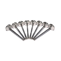 Sportsman Titanium Valve GM Gen IV LS7