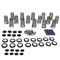 ENGINE VALVE SPRING KIT