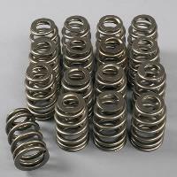 VALVE SPRINGS
