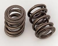 VALVE SPRINGS
