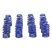 Hustler Beehive Valve Spring Set [GM LS]
