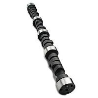 Baja Beast Hydraulic Cam Performance Level: 2
