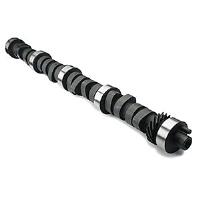 Baja Beast Hydraulic Cam Performance Level: 2