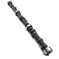 AMC 199-234 258 BAJA BEAST HYDRAULIC CAM (288HDP)