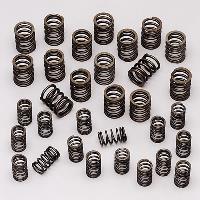 Valve Spring Set for Toyota 2JZ Engines
