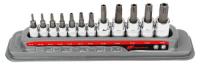 12-Piece Tamper-Proof Torx Bit Socket Set