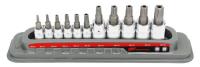 11-Piece Tamper-Proof Torx Plus Bit Socket Set