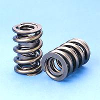 VALVE SPRING