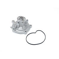 US6030 Water Pump