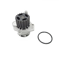 US6212 Water Pump