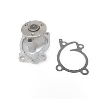 US6687 Water Pump