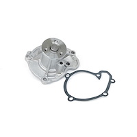US8967 Water Pump