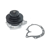 US9163 Water Pump